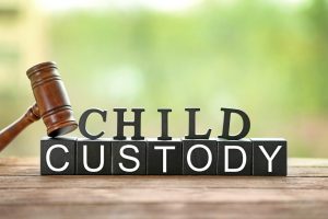 Custody law in Warner Robins GA